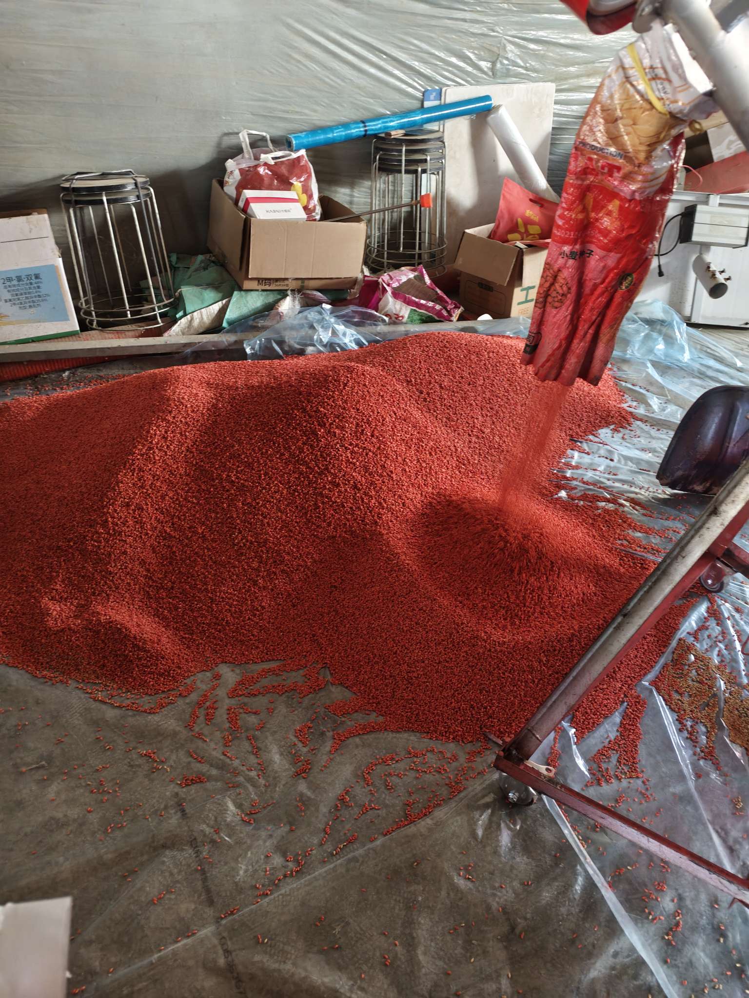 四冠包衣拌种，防虫防病壮苗增产。