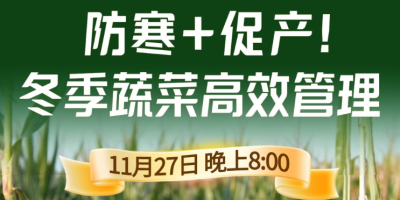 《细说农技》专家张宝林教冬季蔬菜防寒 + 促产高效管理，27 日晚 8 点！