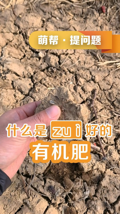 什么是最好的有机肥