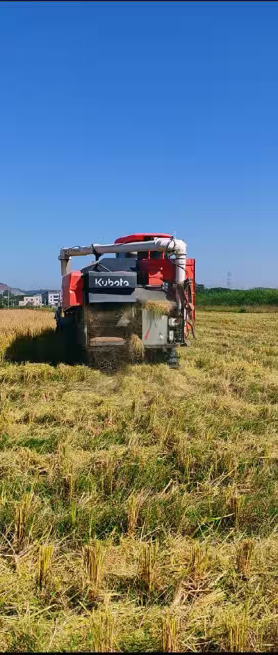 惠州基地，无人拖拉机收水稻了。