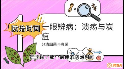 第三节：细菌与真菌&mdash;&mdash;溃疡病与炭疽病，课程：《柑橘十大病虫害：从入门到精通》