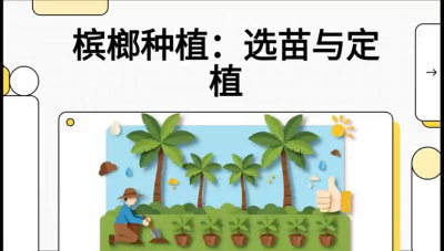 第01节：选苗与定植&mdash;&mdash;&ldquo;苗好一半收，底肥定千秋&rdquo;课程：《槟榔种植：从不懂到精通的10堂必修课》