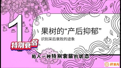 第2节：【冬肥策略】采后&ldquo;月子肥&rdquo;：大小年的精准干预术，课程：《柑橘底肥&ldquo;翻身账&rdquo;：从改土到高产的实战全书》