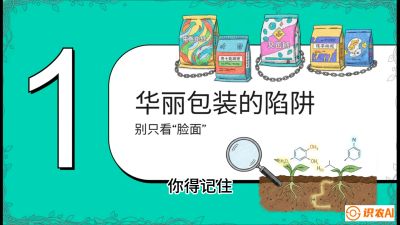 第4节：【黄金配方】底肥里的&ldquo;铁三角&rdquo;与&ldquo;微量雷区&rdquo;课程：《柑橘底肥&ldquo;翻身账&rdquo;：从改土到高产的实战全书》