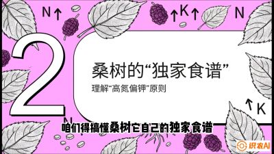 第04节：地下核动力&mdash;&mdash;桑树专用水肥一体化配方，课程：《桑海淘金：桑树高产与蚕桑安全进阶实战课》