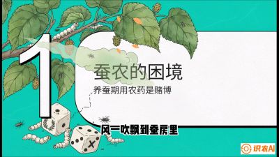 第06节：虫口夺叶（上）&mdash;&mdash;物理与生物防控绝技，课程《桑海淘金：桑树高产与蚕桑安全进阶实战课》