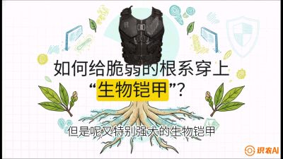 第三节：国产榴莲突围战：根系堡垒，菌根微生态构建与黄金定植窗口，课程：《国产榴莲突围战：从泰国经验到中国实操的8堂必修课（高阶实战版）》
