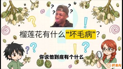 第六节：榴莲的午夜战事，夜间授粉战与花果期避雨策略，课程：《国产榴莲突围战：从泰国经验到中国实操的8堂必修课（高阶实战版）》