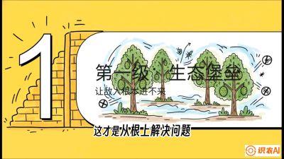 第七节：榴莲防御战：病虫害三级立体防控，疫霉菌与虫害的立体封锁线，课程：《国产榴莲突围战：从泰国经验到中国实操的8堂必修课（高阶实战版）》