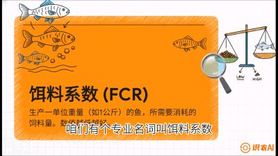第五节：【高端单品&middot;鳜鱼】&ldquo;饲料鳜&rdquo;技术：打破吃活饵的高成本魔咒，课程：《黄金鳞甲：2025中国淡水鱼高效养殖实战营》
