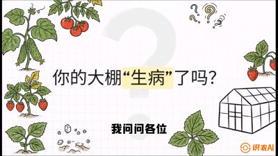 第2节（解毒篇）： 大棚里的&ldquo;红白绿&rdquo;警报&mdash;&mdash;读懂土壤盐渍化的求救信号，课程：《揭秘土壤的秘密：让土地帮你赚钱》#识农AI