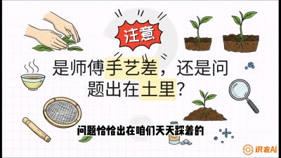 第02节（土肥篇）：告别&ldquo;苦涩水味&rdquo;：揭秘&ldquo;碳氮比&rdquo;调控术，种出自带兰花香的好茶底，课程：《茶金时代：从&ldquo;看天吃饭&rdquo;到&ldquo;精准控局&rdquo;的茶叶高产提质实战课》