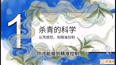 第05节（加工篇）：决胜2分钟：用&ldquo;数字温控&rdquo;破解杀青不匀，复刻大师级手工口感，课程：《茶金时代：从&ldquo;看天吃饭&rdquo;到&ldquo;精准控局&rdquo;的茶叶高产提质实战课》