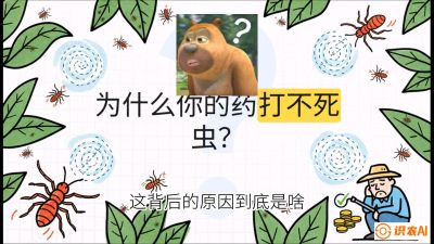 第4节：【虫害歼灭战】打不死的蓟马、隐形的茶黄螨：抗性时代的&ldquo;混配绝杀&rdquo;，课程：《辣椒种植实战特训营，从工业辣椒到精品小米辣，教你如何把&ldquo;草&rdquo;种成&ldquo;金&rdquo;》