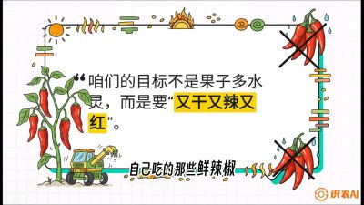 第7节：【工业辣椒专场】追求极致辣度！干物质提升与机械化采收的&ldquo;催红秘籍&rdquo;，课程：《辣椒种植实战特训营，从工业辣椒到精品小米辣，教你如何把&ldquo;草&rdquo;种成&ldquo;金&rdquo;》