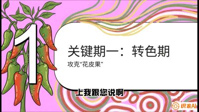 第8节：【小米辣线椒专场】颜值即正义！防花皮、防炭疽，打造收购商抢着要的&ldquo;精品果&rdquo;，课程：《辣椒种植实战特训营，从工业辣椒到精品小米辣，教你如何把&ldquo;草&rdquo;种成&ldquo;金&rdquo;》