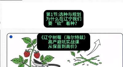 第一节： 选种与规划&mdash;&mdash;为什么在辽宁我们要&ldquo;砍&rdquo;着种？，课程：《辽宁树莓（海尔特兹）高产避坑实战课：从保苗到高价》