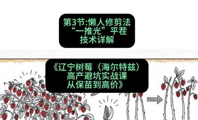 第三节： 懒人修剪法&mdash;&mdash;&ldquo;一推光&rdquo;平茬技术详解，课程：《辽宁树莓（海尔特兹）高产避坑实战课：从保苗到高价》
