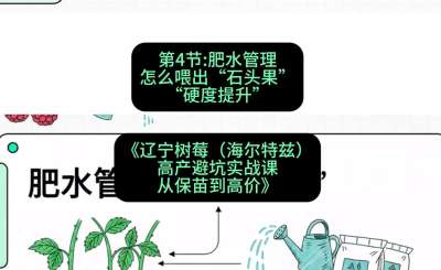 第四节： 肥水管理&mdash;&mdash;怎么喂出&ldquo;石头果&rdquo;（硬度提升），课程：《辽宁树莓（海尔特兹）高产避坑实战课：从保苗到高价》