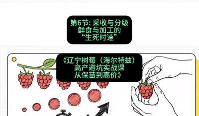 第六节： 采收与分级&mdash;&mdash;鲜食与加工的&ldquo;生死时速&rdquo;，课程：《辽宁树莓（海尔特兹）高产避坑实战课：从保苗到高价》