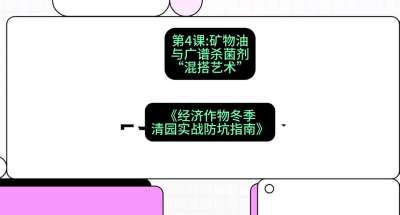 第4节：【替代方案】矿物油与广谱杀菌剂的&ldquo;混搭艺术&rdquo;，课程：《经济作物冬季清园&middot;实战防坑指南》#识农AI