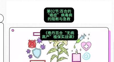 第02节：百合的&ldquo;癌症&rdquo;&mdash;&mdash;病毒病的阻断与急救，课程：《卷丹百合&ldquo;无病高产&rdquo;植保实战课》#识农AI