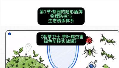第01节：茶园的&ldquo;隐形盾牌&rdquo;&mdash;&mdash;物理防控与生态诱杀体系，课程：《茗茶卫士&mdash;&mdash;茶叶病虫害绿色防控实战课》#识农AI
