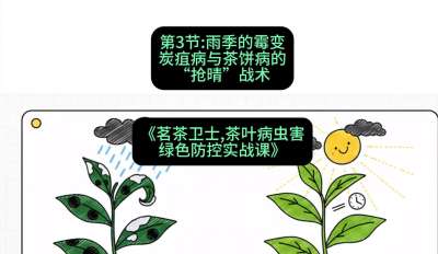 第03节：雨季的霉变&mdash;&mdash;炭疽病与茶饼病的&ldquo;抢晴&rdquo;战术，课程：《茗茶卫士&mdash;&mdash;茶叶病虫害绿色防控实战课》#识农AI