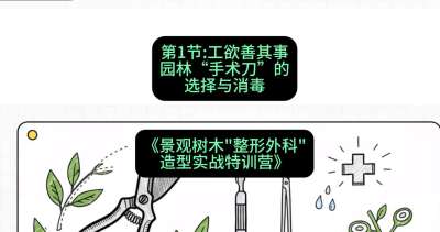 第01节：工欲善其事&mdash;&mdash;园林&ldquo;手术刀&rdquo;的选择与消毒，课程：《景观树木&ldquo;整形外科&rdquo;造型实战特训营》#识农AI