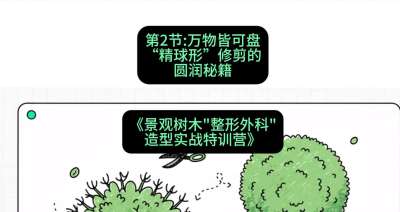 第02节：万物皆可盘&mdash;&mdash;&ldquo;精球形&rdquo;修剪的圆润秘籍，课程：《景观树木&ldquo;整形外科&rdquo;造型实战特训营》#识农AI