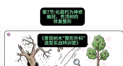 第07节：化腐朽为神奇&mdash;&mdash;偏冠、秃顶树的修复整形，课程：《景观树木&ldquo;整形外科&rdquo;造型实战特训营》#识农AI