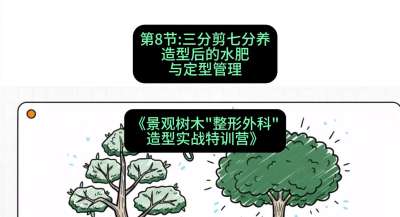 第08节：三分剪七分养&mdash;&mdash;造型后的水肥与定型管理，课程：《景观树木&ldquo;整形外科&rdquo;造型实战特训营》#识农AI