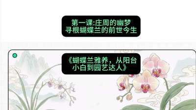 第一节：庄周的幽梦：寻根蝴蝶兰的前世今生，课程：《蝴蝶兰雅养六讲：从阳台小白到园艺达人》#识农AI