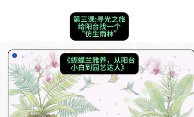 第三节：寻光之旅：给阳台找一个&ldquo;仿生雨林&rdquo;，课程：《蝴蝶兰雅养六讲：从阳台小白到园艺达人》#识农AI