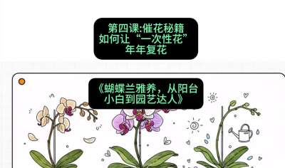 第四节：催花秘籍：如何让&ldquo;一次性花&rdquo;年年复花，课程：《蝴蝶兰雅养六讲：从阳台小白到园艺达人》#识农AI